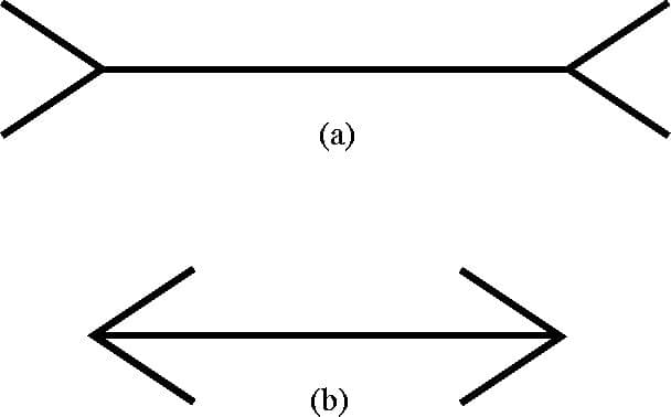 Which line is longer reflexive reflective perception