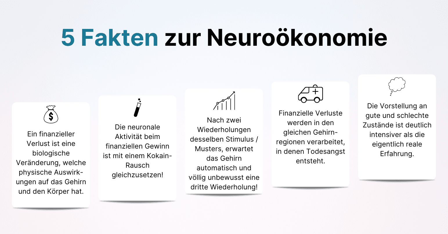 Financial Decisions Brain